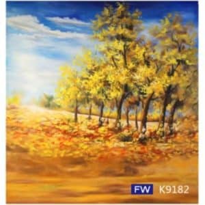 Hand Painted Studio Backdrop 3x4m FW-K9182