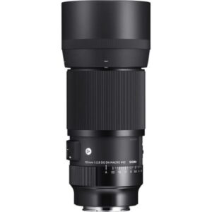 Sigma 105mm f/2.8 DG DN Macro Art Lens (Sony E)