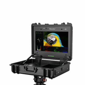 Desview SP17 Plus 17.3" 4K Monitor in Hard Carrying Case